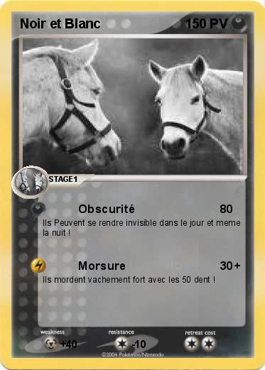 Pokemon Noir et Blanc