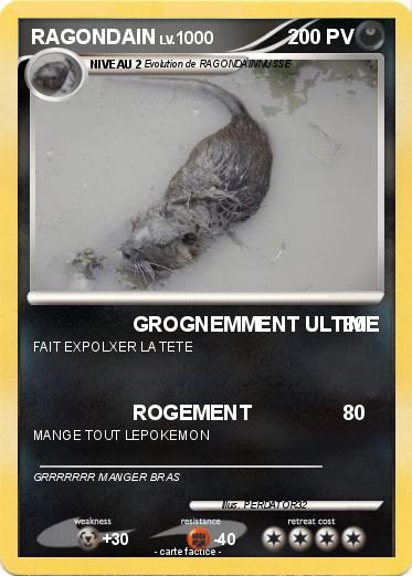 Pokemon RAGONDAIN