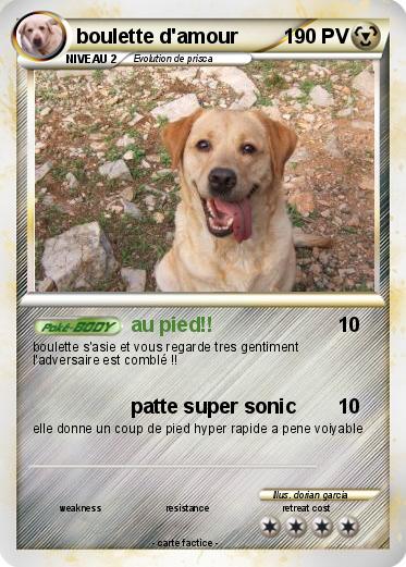 Pokemon boulette d'amour