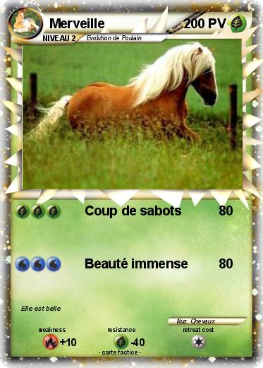 Pokemon Merveille