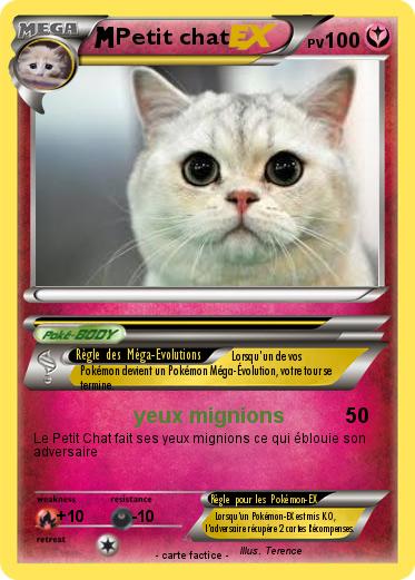 Pokemon Petit chat