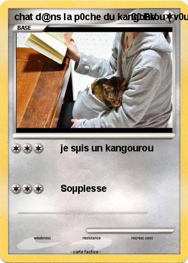 Pokemon chat d@ns la p0che du kangourou ( v0us )