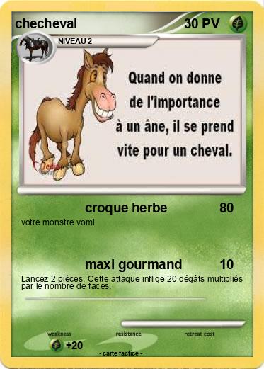 Pokemon checheval