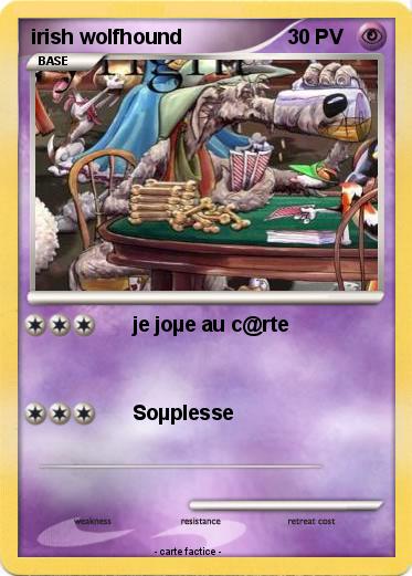 Pokemon irish wolfhound