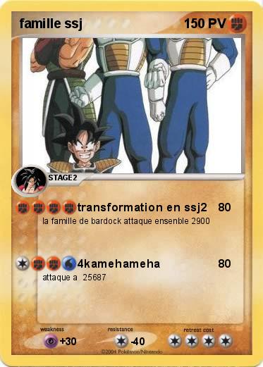 Pokemon famille ssj