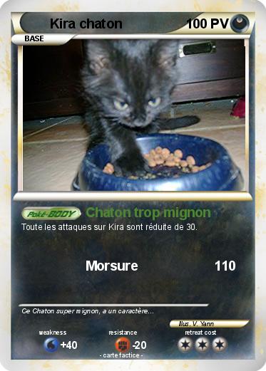 Pokemon Kira chaton
