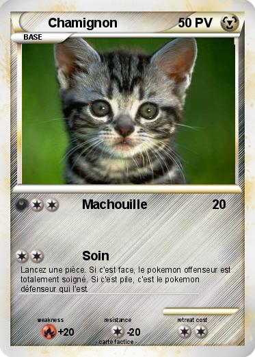 Pokemon Chamignon