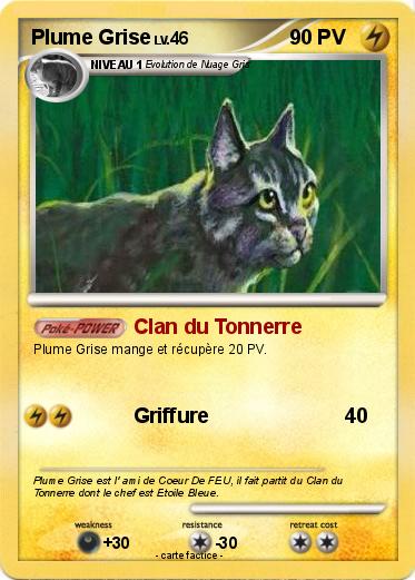 Pokemon Plume Grise