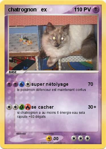 Pokemon chatrognon   ex