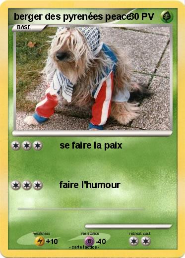 Pokemon berger des pyrenées peace