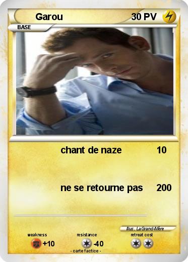Pokemon Garou
