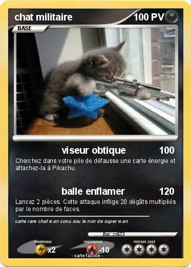 Pokemon chat militaire