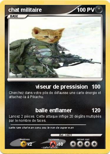 Pokemon chat militaire