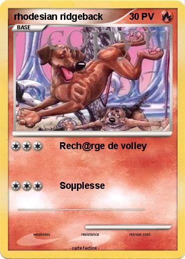 Pokemon rhodesian ridgeback