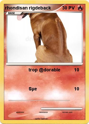 Pokemon rhondisan rigdeback