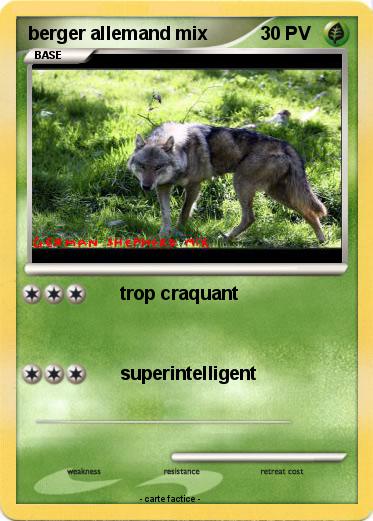 Pokemon berger allemand mix