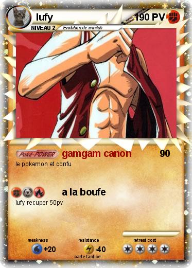 Pokemon lufy