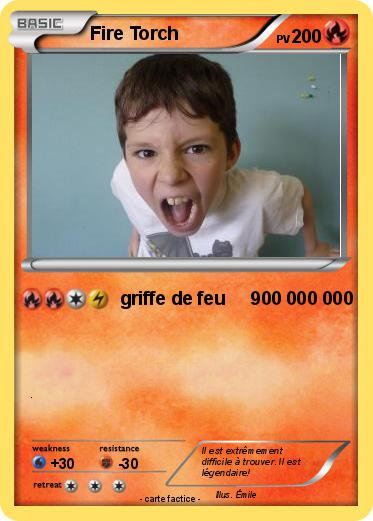 Pokemon Fire Torch