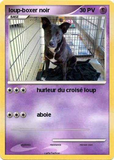 Pokemon loup-boxer noir