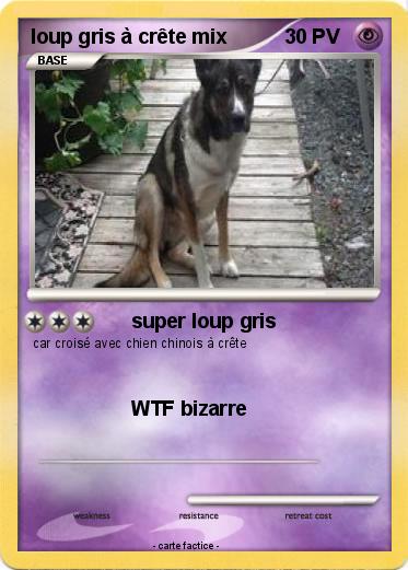 Pokemon loup gris à crête mix