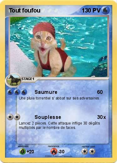 Pokemon Tout foufou