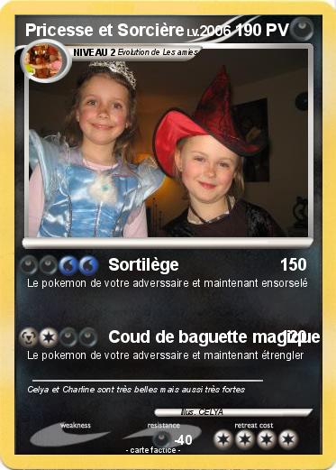 Pokemon Pricesse et Sorcière