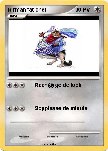 Pokemon birman fat chef