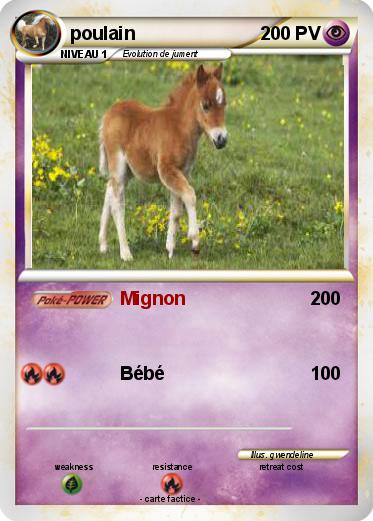 Pokemon poulain