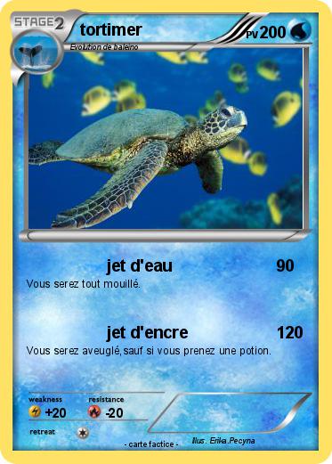 Pokemon tortimer