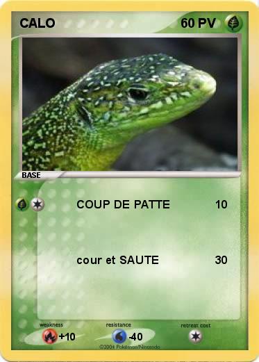 Pokemon CALO