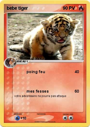 Pokemon bebe tiger