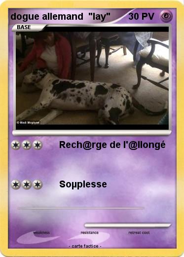 Pokemon dogue allemand  "lay"