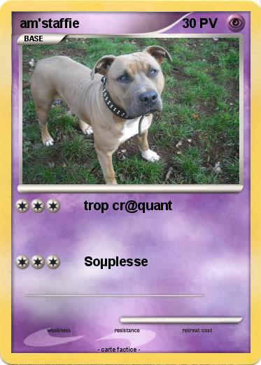 Pokemon am'staffie