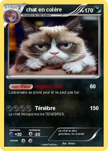 Pokemon chat en colère