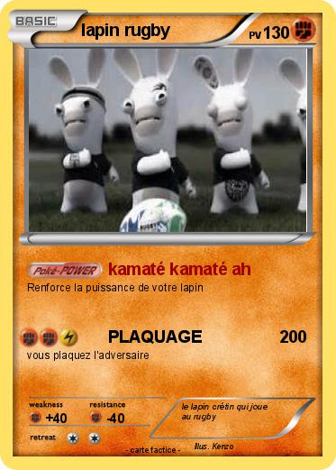 Pokemon lapin rugby