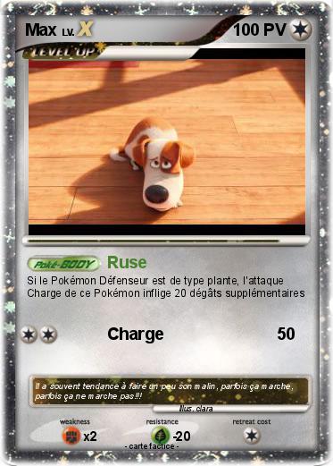 Pokemon Max