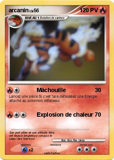 Pokemon arcanin