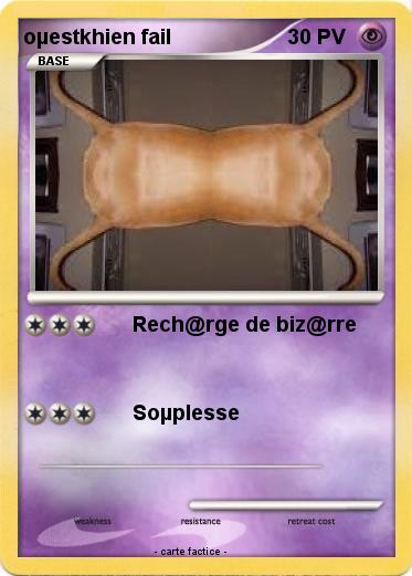 Pokemon oµestkhien fail