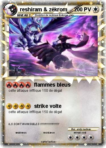Pokemon reshiram & zékrom