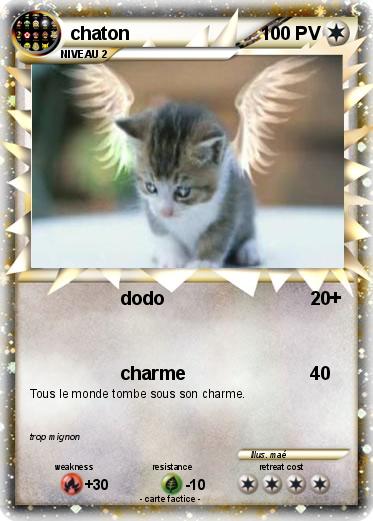 Pokemon chaton