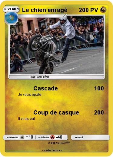 Pokemon Le chien enragé