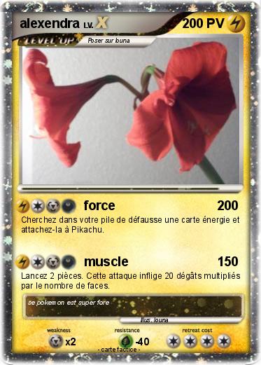 Pokemon alexendra