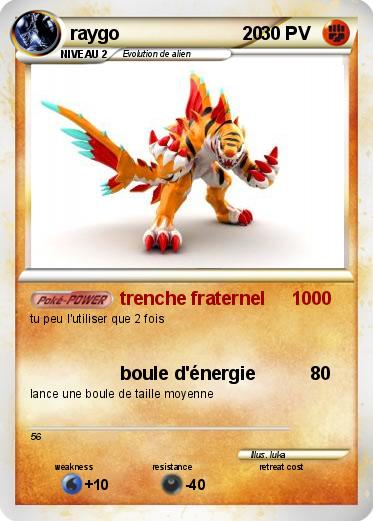 Pokemon raygo                        20