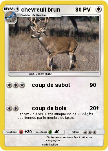 Pokemon chevreuil brun
