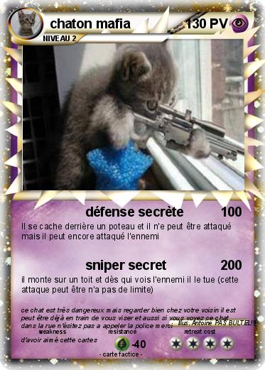 Pokemon chaton mafia