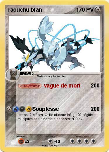 Pokemon raouchu blan