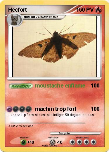 Pokemon Hecfort
