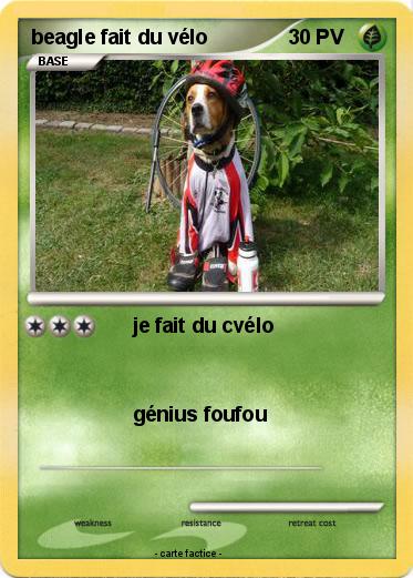 Pokemon beagle fait du vélo