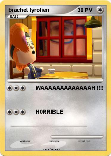 Pokemon brachet tyrolien