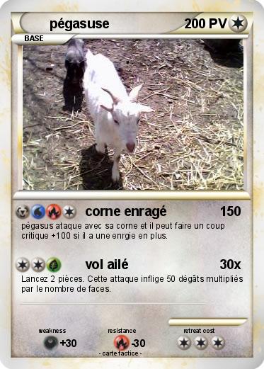 Pokemon pégasuse